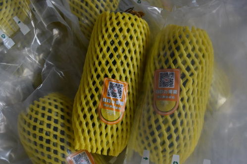 全市農(nóng)產(chǎn)品質(zhì)量安全暨食用農(nóng)產(chǎn)品合格證推進(jìn)現(xiàn)場會(huì)在桃園鎮(zhèn)召開