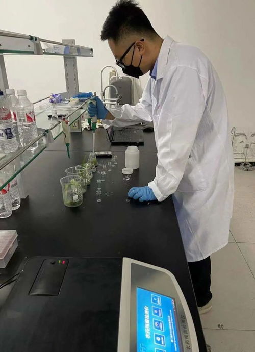 我市今日農貿市場食用農產品快檢結果出爐｜專家解讀剩菜剩飯二次加熱健康風險